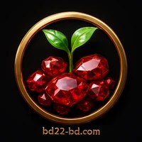 bd22 ভাগ্য সংখ্যা